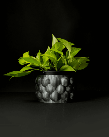 Picture for category Planters
