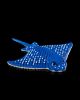 Picture of Spotted Eagle Ray