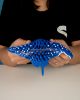 Picture of Spotted Eagle Ray