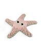 Picture of Articulating Starfish