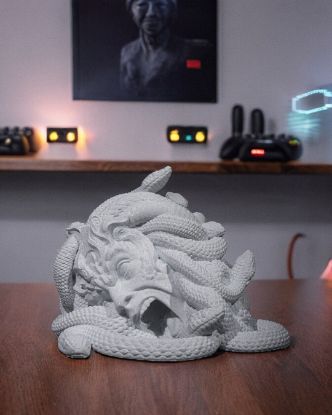 Picture of Gorgon Demise Dice Tower