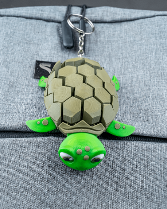 Picture of Myrtle, the Turtle