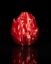Picture of Dragon Egg - Fire