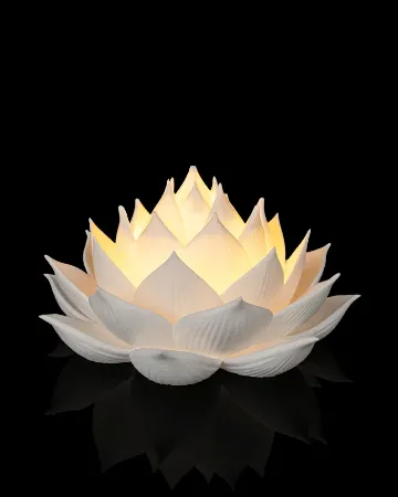 Picture for category Lighting
