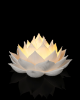 Picture of Lotus Bloom - Crystal Ball Holder & Lamp